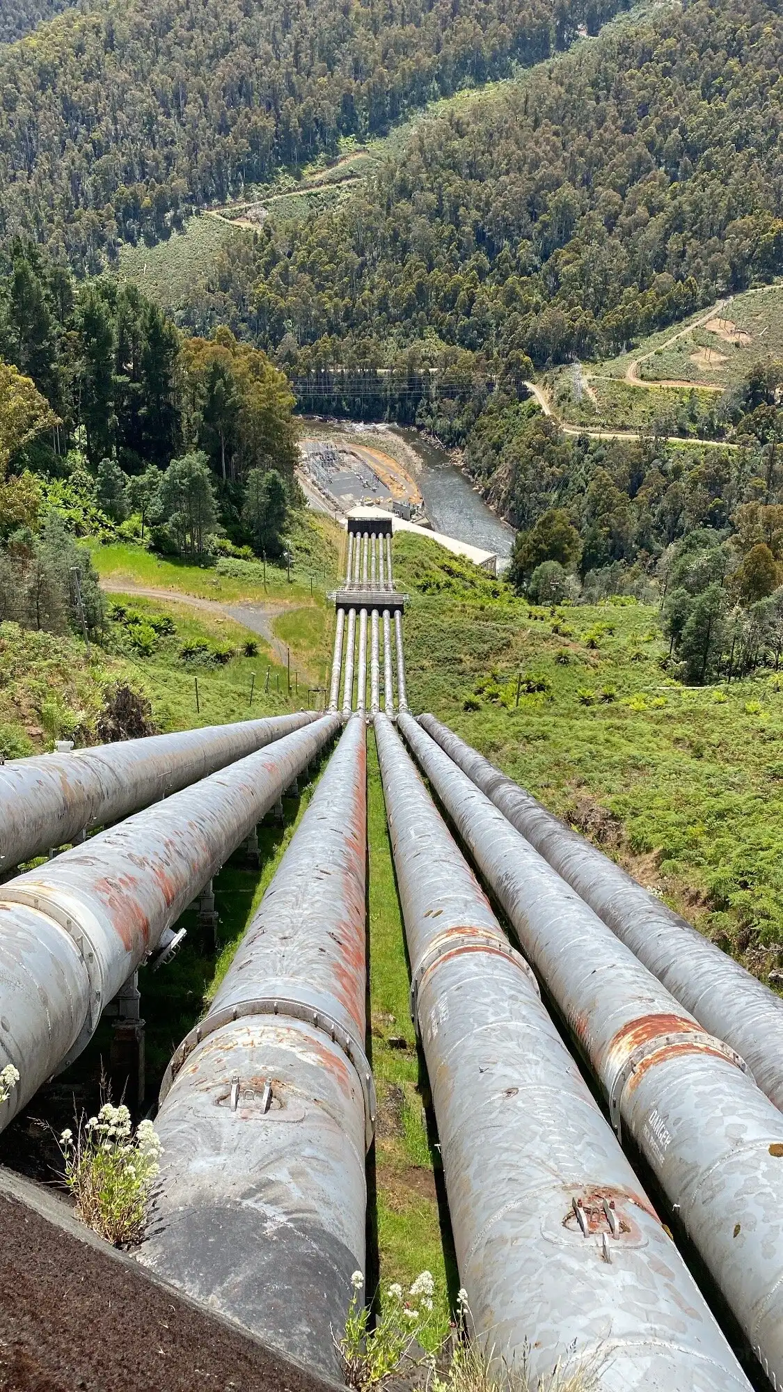 Hotels near Tarraleah Power Station Lookout