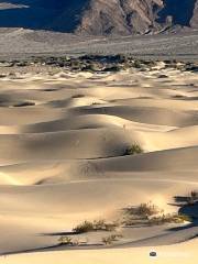 Sanddünen der Mesquite Ebene