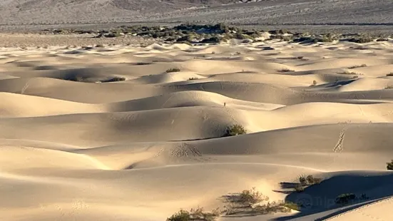 Mesquite Flat Sand Dunes