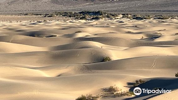 Mesquite Flat Sand Dunes