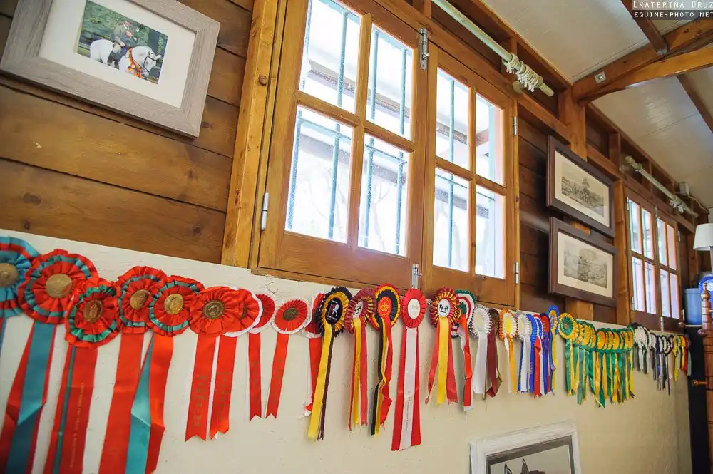 Hotels near Cascais Riding Club