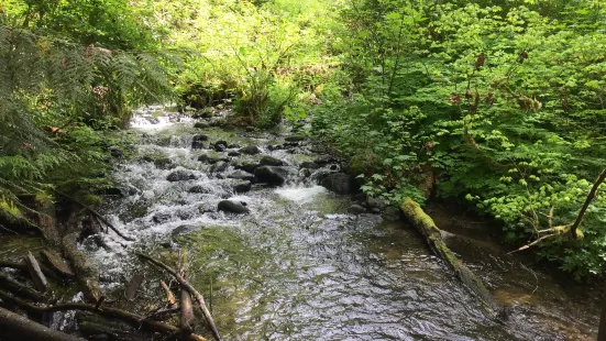 Flaming Geyser State Park