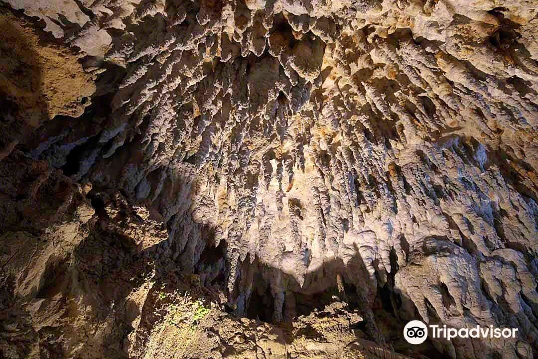 沖縄 CAVE OKINAWA【鍾乳洞】入場Eチケット 予約