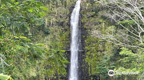 Akaka Falls State Park