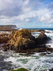 Dunseverick Harbour