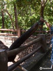 Lombok Wildlife Park