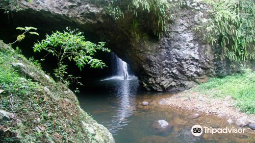 Springbrook National Park