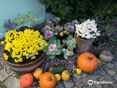 Botanical Garden Teplice