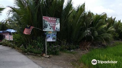 Ladang Nipah Kipli, Sanglang, Perlis