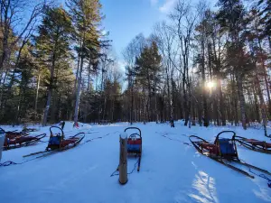 Winterdance Dogsled Tours