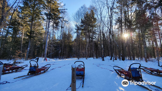 Winterdance Dogsled Tours