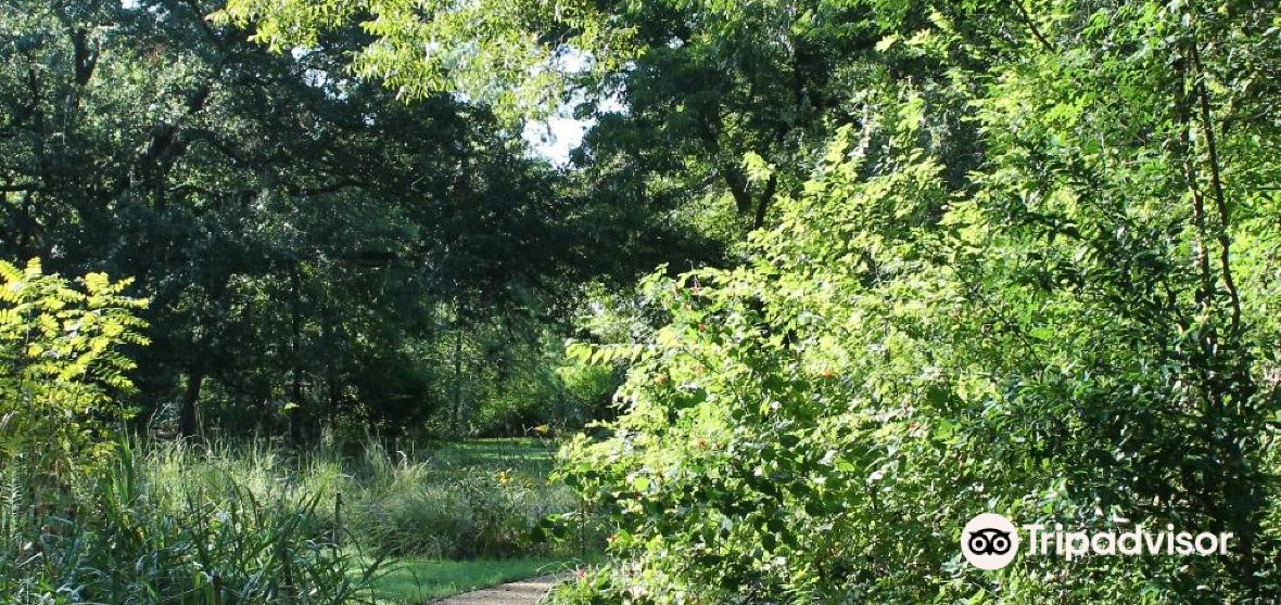 Bellaire Travel Guide 2024 Things to Do, What To Eat & Tips