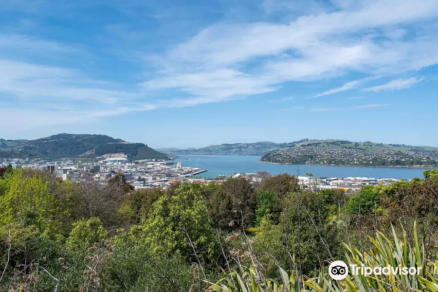 Unity Park Lookout