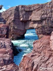 Tickle Cove Sea Arch