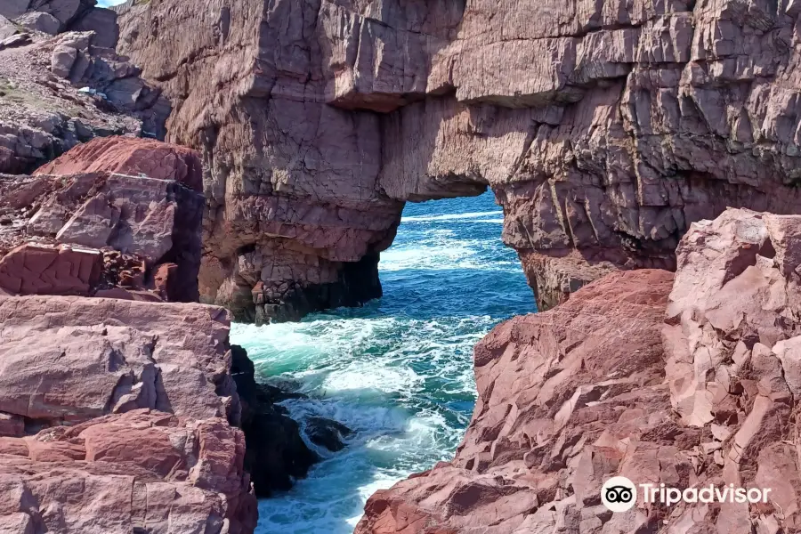 Tickle Cove Sea Arch