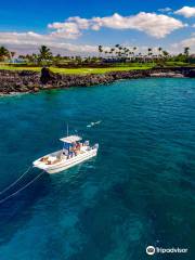 Kona Snorkel Tours