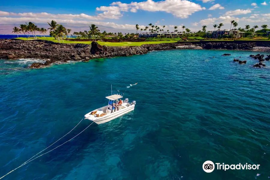 Kona Snorkel Tours