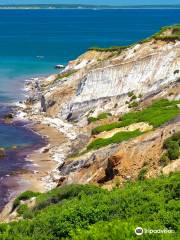 Aquinnah Cliffs Overlook