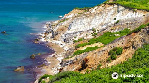 Aquinnah Cliffs Overlook