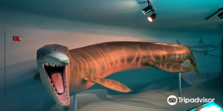 Sternberg Museum of Natural History