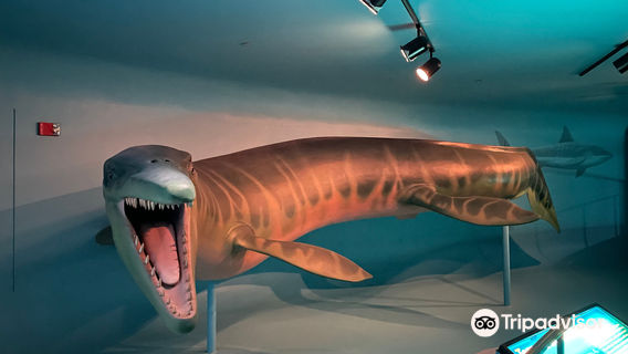 Sternberg Museum of Natural History