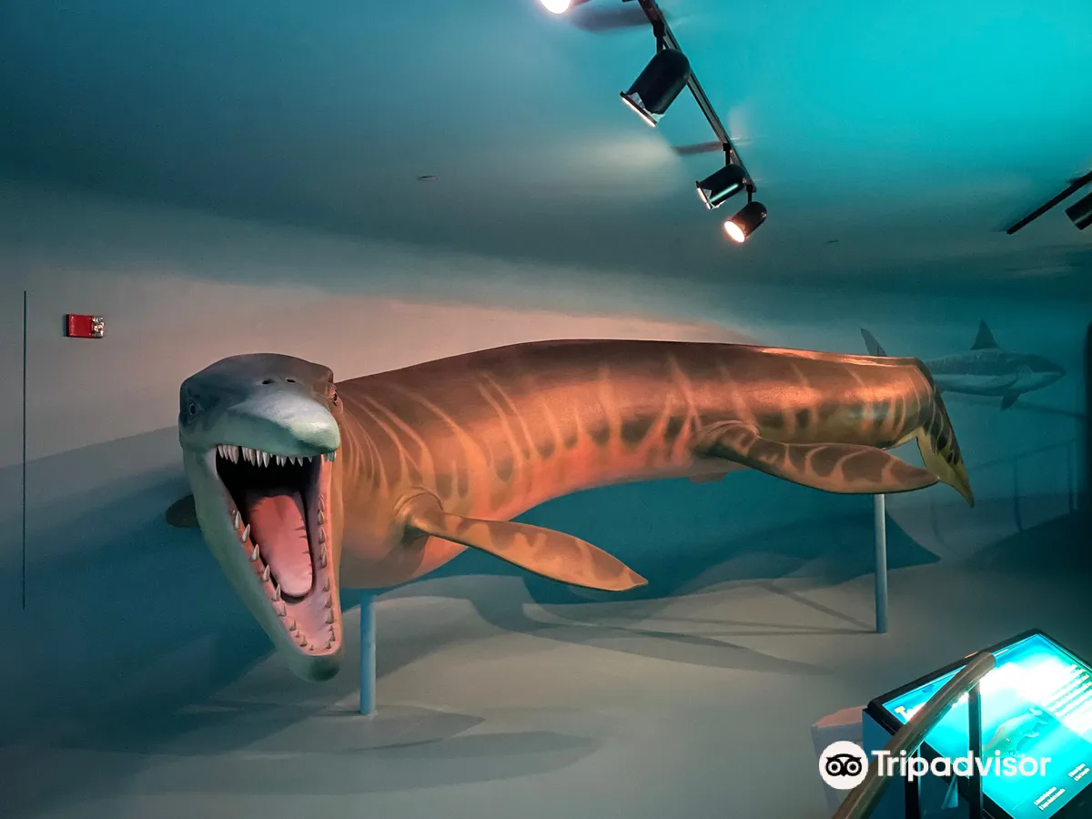 Sternberg Museum of Natural History