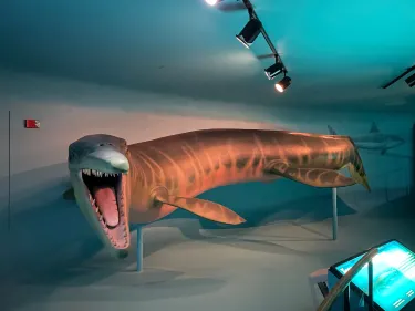 Sternberg Museum of Natural History