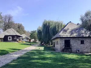 Musée du village de Bucovine