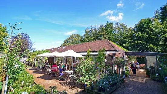 Great Park Farm Nursery Coffee Shop