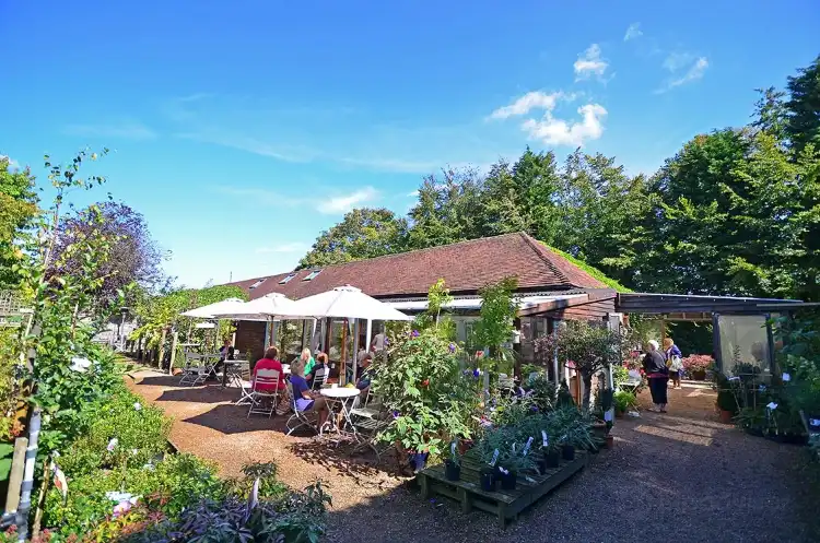 Hotels in Catsfield