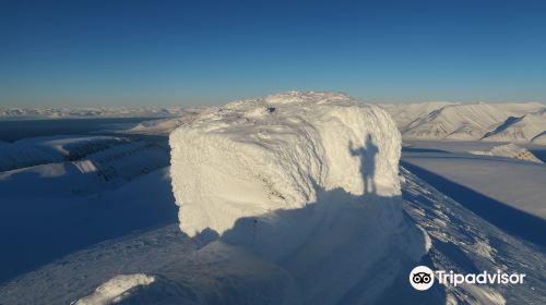 Svalbard Wildlife Expeditions