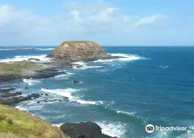 Phillip Island Nature Parks