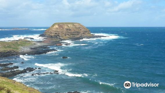Phillip Island Nature Parks