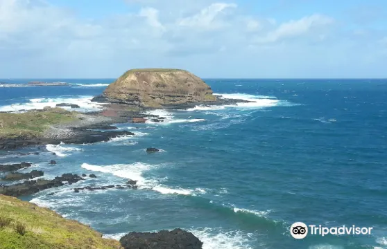 企鵝歸巢企鵝歸巢(普通看台)成人