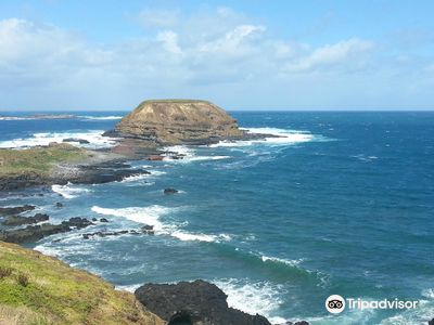Phillip Island Nature Parks