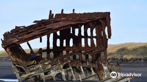 Peter Iredale Ship Wreck