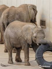 愛媛県立とべ動物園