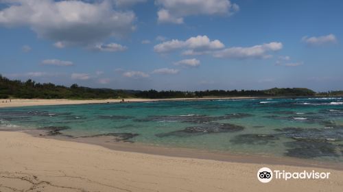 土盛海岸