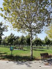 Maltepe Orhangazi City Park