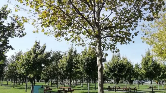 Maltepe Orhangazi City Park