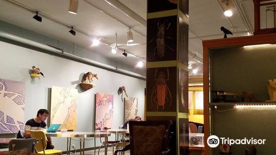 CU Museum of Natural History