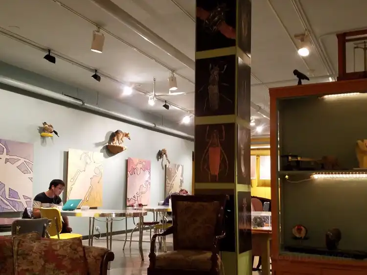 Hotels near CU Museum of Natural History