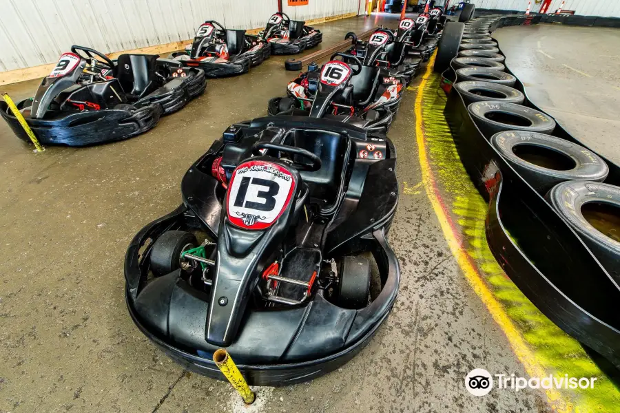 ProKart Indoor Racing