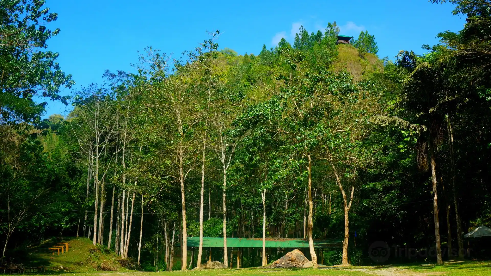 Hotels near Mapawa Nature Park