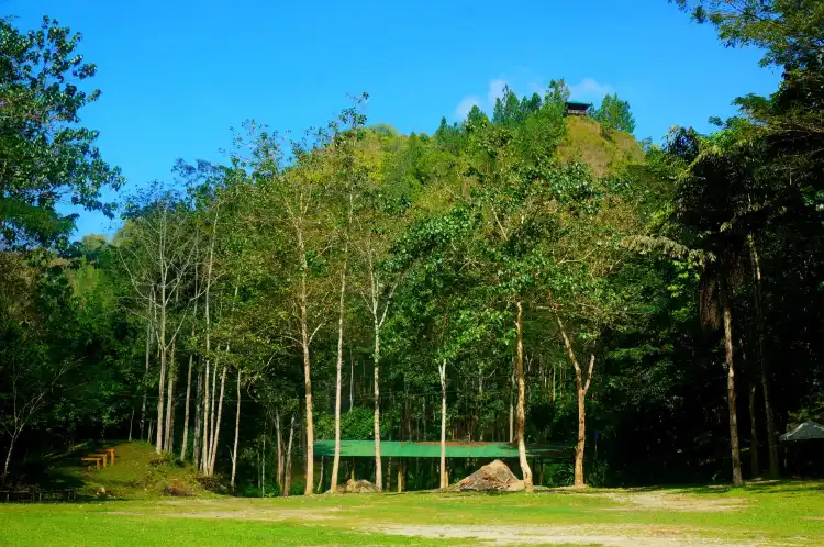 Các khách sạn gần Mapawa Nature Park