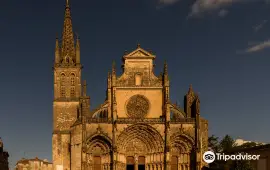 Cathédrale Saint-Jean-Baptiste