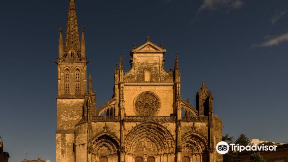 Bazas Cathedral