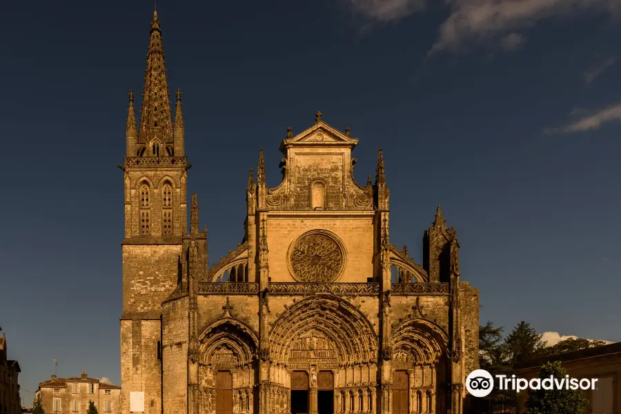 Cathédrale Saint-Jean-Baptiste