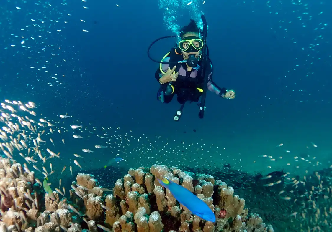 Hotel in zona Local Dive Thailand