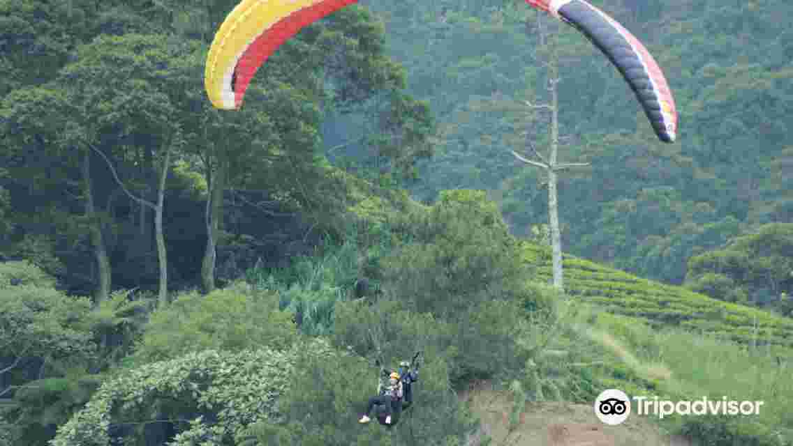 From Jakarta Paragliding , Botanical Garden & Platantion Tea With Lunch